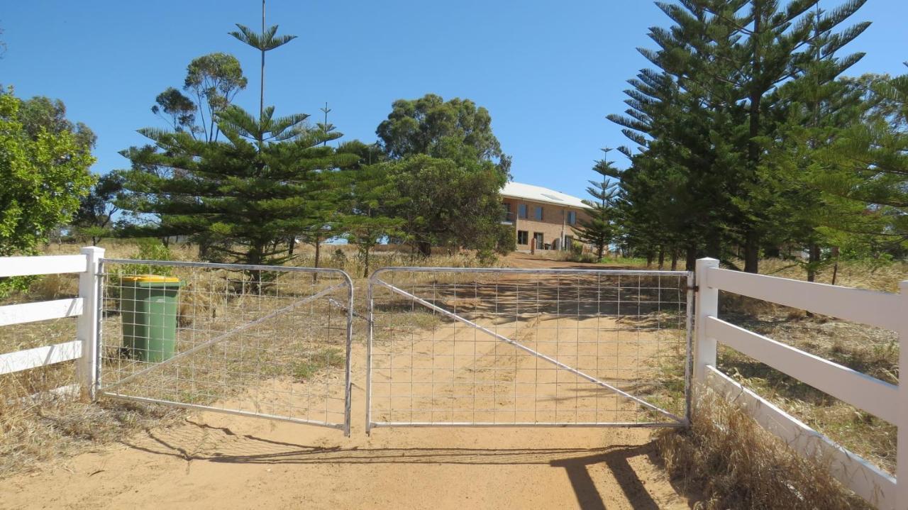 Turquoise Coast Lodge Jurien Bay Dış mekan fotoğraf